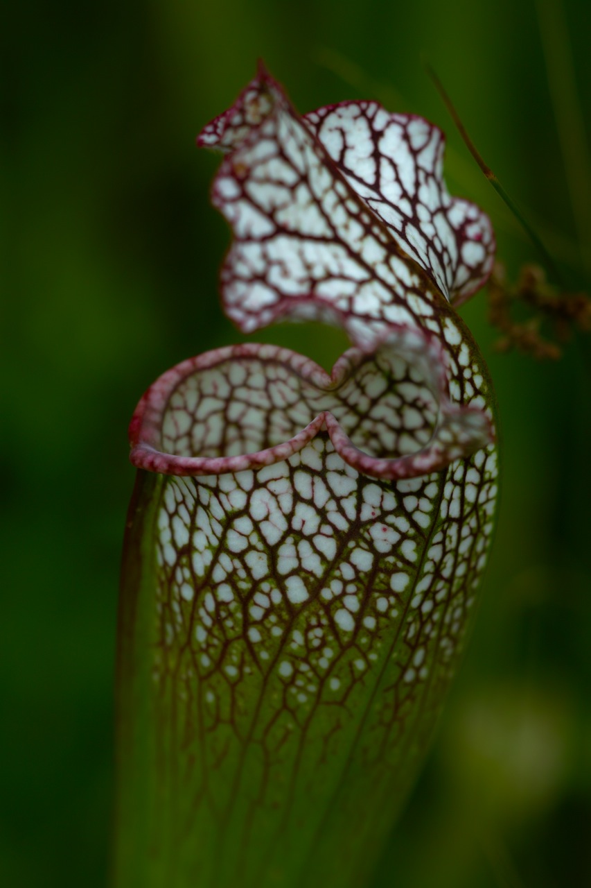 b0137311_23473757.jpg