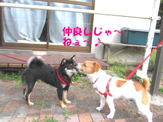 c0185516_13105497.jpg