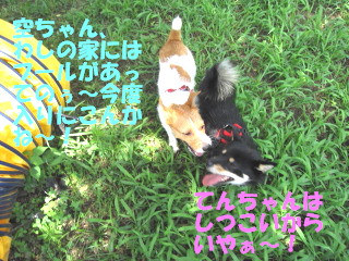 c0185516_13134048.jpg
