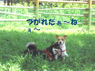 c0185516_13143149.jpg