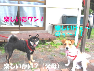 c0185516_13235744.jpg