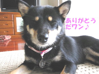 c0185516_13432217.jpg