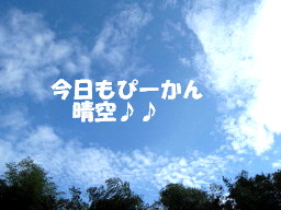 c0185516_1363896.jpg