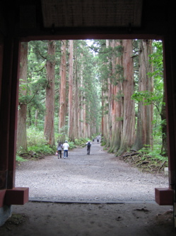 e0060517_15534240.jpg
