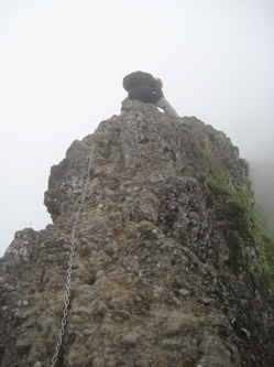 e0060517_1673542.jpg