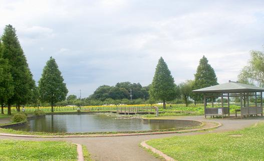 a0053420_23935100.jpg
