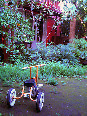 c0001023_2356979.jpg