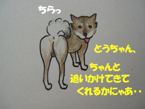 f0143123_934211.jpg