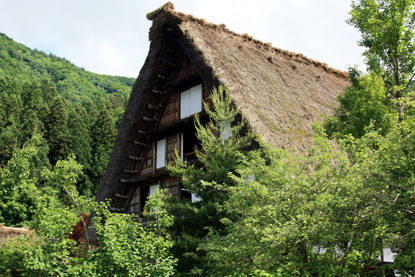 f0137324_11244575.jpg