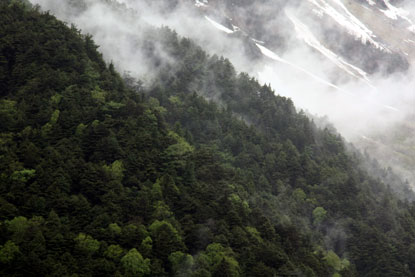 f0137324_945821.jpg