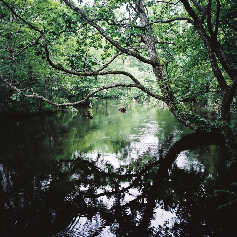 f0182924_2125921.jpg