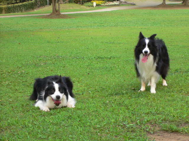 d0059230_16245346.jpg
