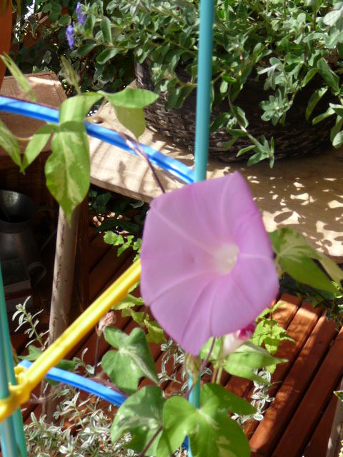 c0100534_14271761.jpg