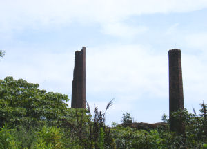 c0069036_15391055.jpg