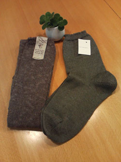 f0204440_0454438.jpg