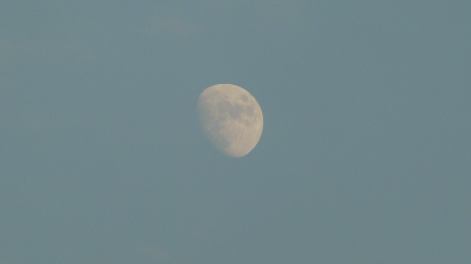 b0190242_1364995.jpg