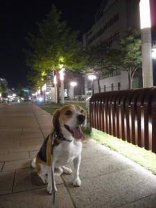 c0119142_7432825.jpg