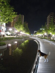 c0119142_747928.jpg
