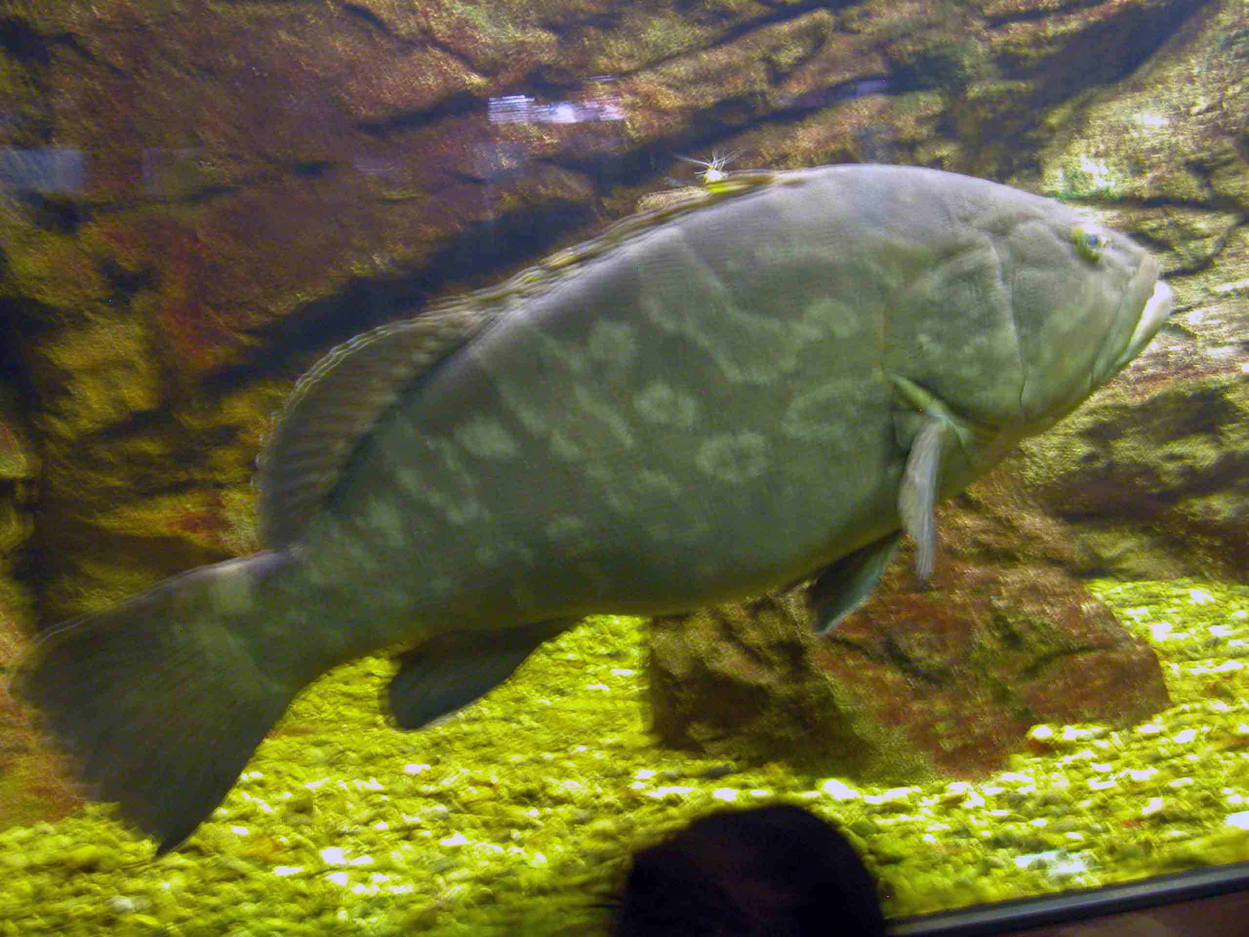 a0063846_16462075.jpg