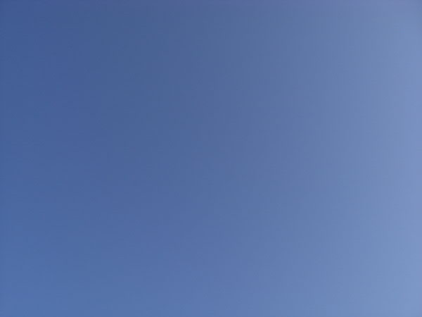 e0017051_10224022.jpg