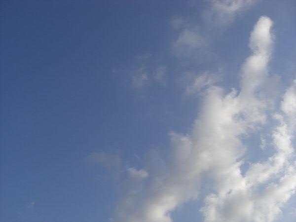 e0017051_10225419.jpg