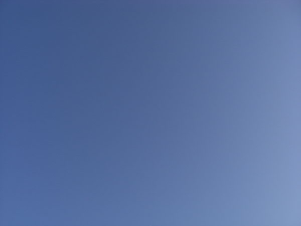 e0017051_10231288.jpg