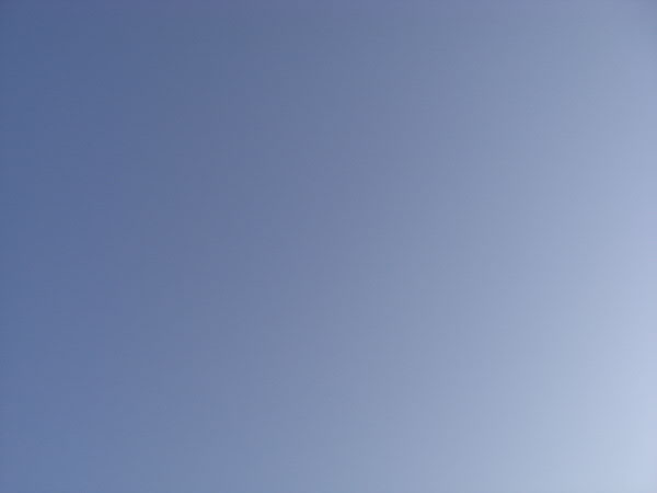 e0017051_1023292.jpg