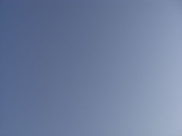 e0017051_1023486.jpg