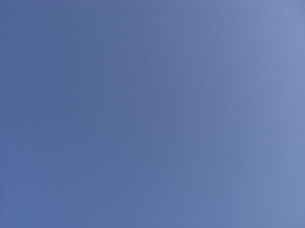 e0017051_1024272.jpg