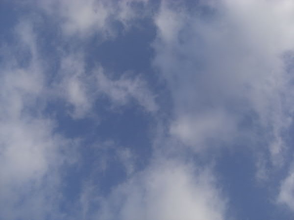 e0017051_10243529.jpg