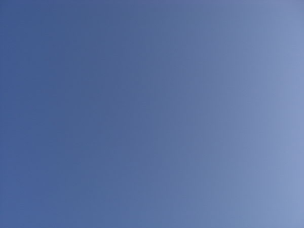 e0017051_10245161.jpg
