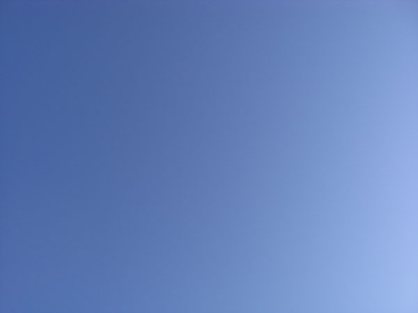 e0017051_10255618.jpg