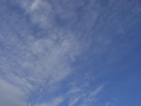 e0017051_1025963.jpg