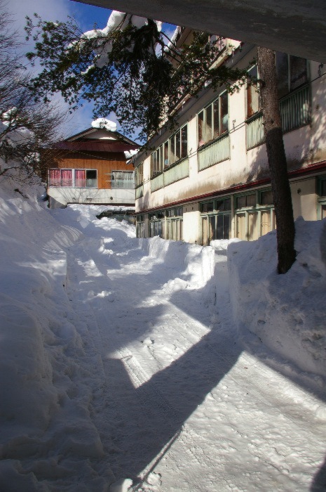 e0100152_1654588.jpg