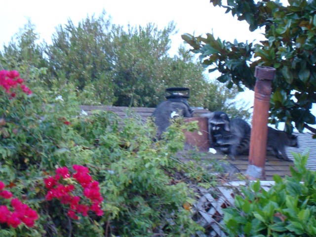 f0198556_14273178.jpg