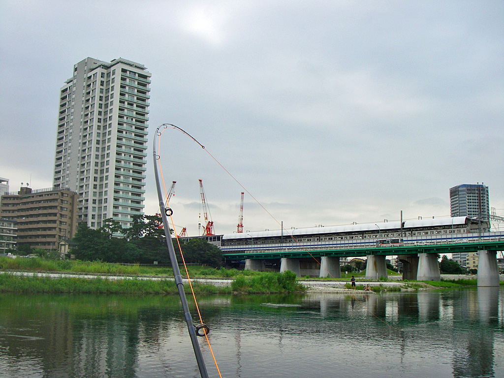 a0130057_233389.jpg