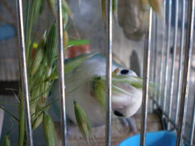 d0142061_10332336.jpg