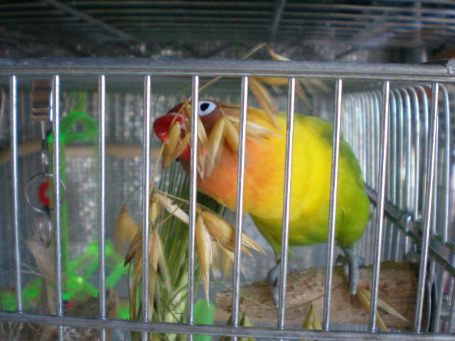 d0142061_10345619.jpg