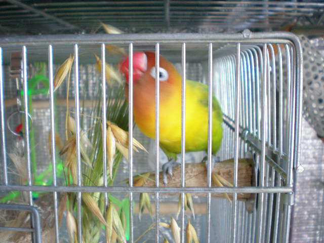 d0142061_10373244.jpg