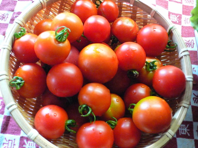 b0074862_13275888.jpg