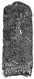 e0018762_1074135.jpg