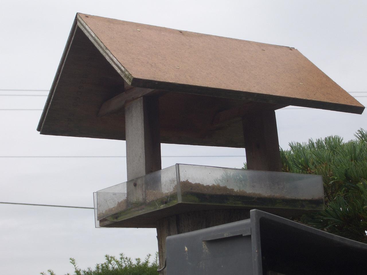 e0133362_1841573.jpg
