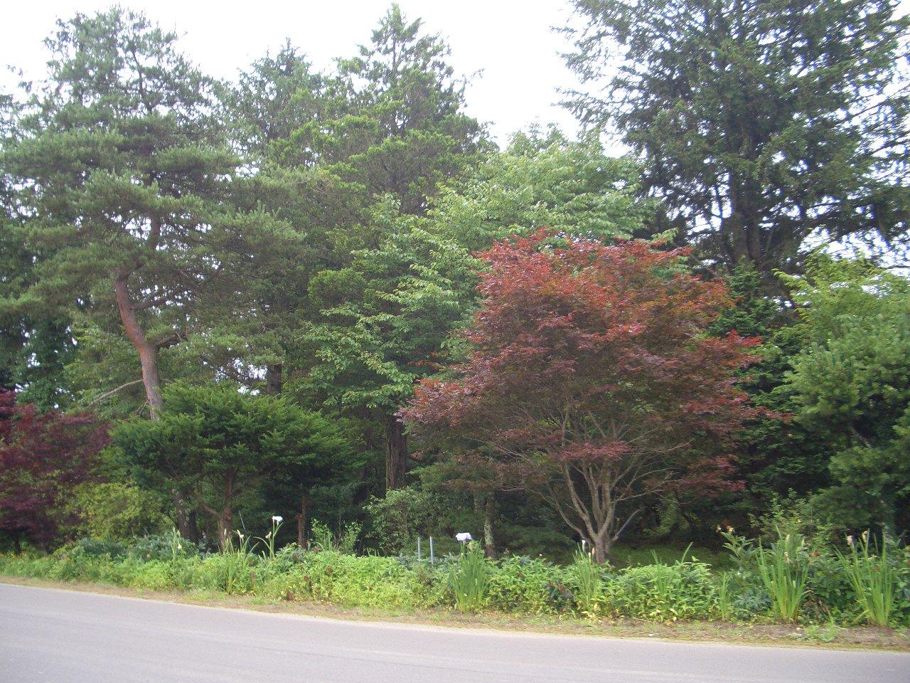 e0133362_19325461.jpg