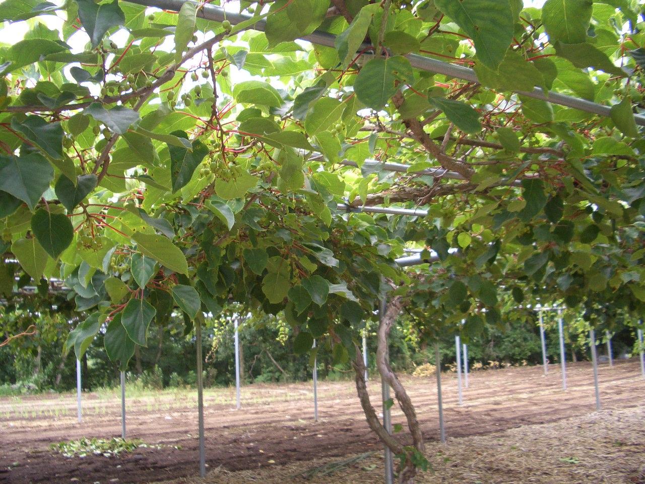e0133362_1943930.jpg