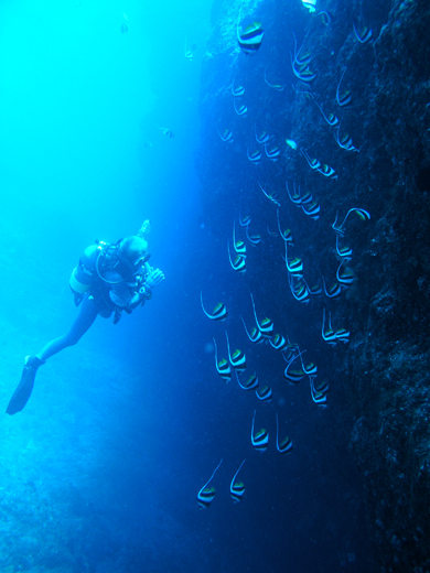 b0062363_20514295.jpg