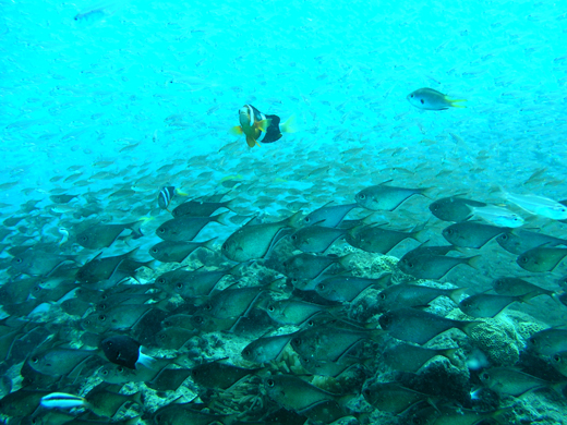 b0062363_20530100.jpg