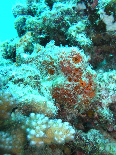 b0062363_20545198.jpg