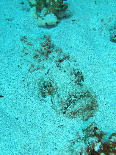 b0062363_2054996.jpg