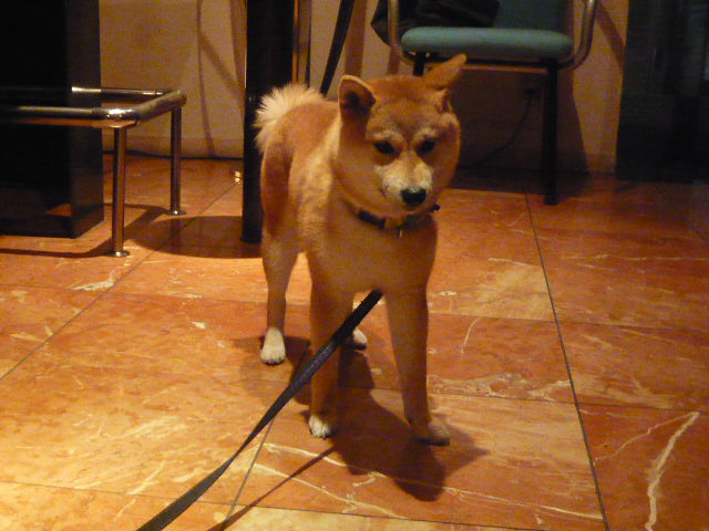 c0100865_7555691.jpg