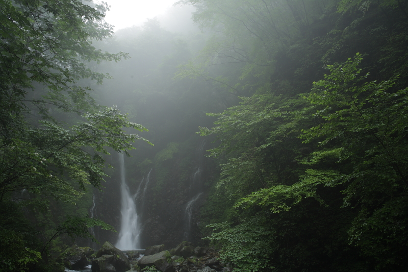 b0027267_13411445.jpg